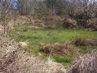 James Hutton's Marl Pit at Slighhouses Farm