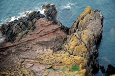 Siccar Point Unconformity