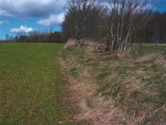 Image 9: Banked boundary