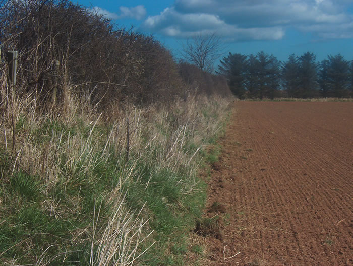 Image 11: Banked Boundary