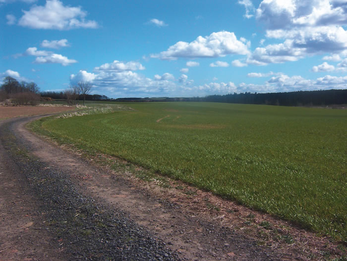 Image 12: Blinkbonny Field