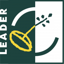 Leader Plus